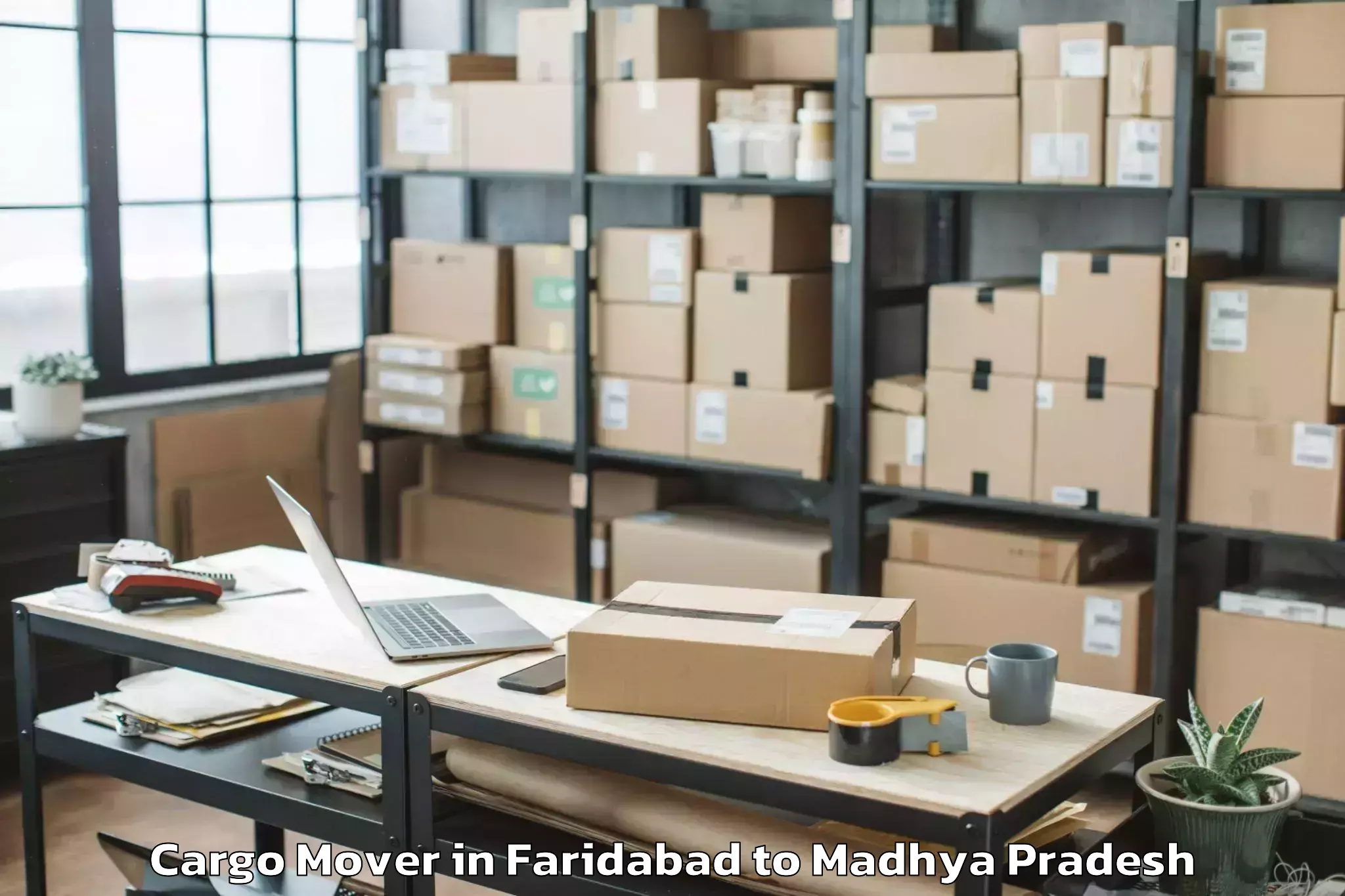 Easy Faridabad to Neemuch Cargo Mover Booking